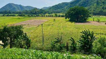 Gambar 1 Di jual tanah  untuk villa di selong belanak lombok tengah