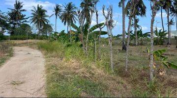 Gambar 5 Di jual tanah murah Los pantai totok lombok tengah