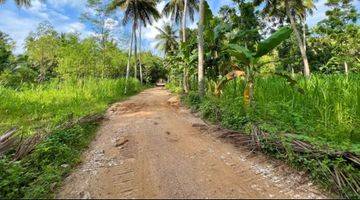 Gambar 2 Si jual tanah view di kita mandalika lombok tengah