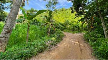 Gambar 5 Si jual tanah view di kita mandalika lombok tengah