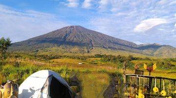 Gambar 1 Di Jual Tanah View Gunung Rinjani Dan Sawah Sembalun Lombok