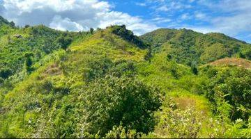 Gambar 3 Di Jual Tanah Strategis View Laut Di Mawun Lombok Tengah