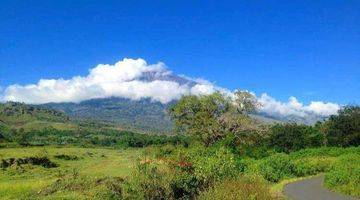 Gambar 5 Di Jual Tanah View Gunung Rinjani Dan Sawah Sembalun Lombok