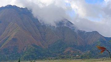 Gambar 4 Di Jual Tanah Murah Dan Strategis Sembalun Lombok Timur