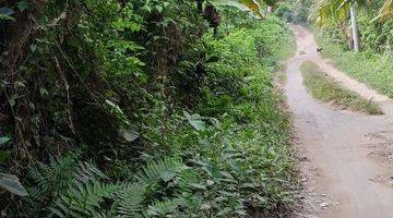 Gambar 4 Di Jual Tanah Kebun Full Buah Sudah Panen Lingsar Lombok