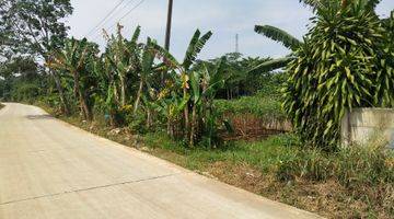 Gambar 3 Kavling di Jl. Cicangkal, Rumpin 1,7 hectare - dekat Pasar Cicangkal dan Citra Garden Serpong, surat SHM