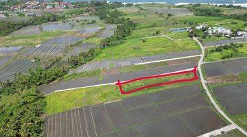 Gambar 3 PREMIUM BEACHSIDE PLOT FOR LEASE NEAR CANGGU