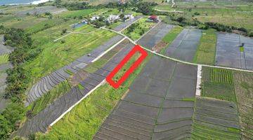 Gambar 2 PREMIUM BEACHSIDE PLOT FOR LEASE NEAR CANGGU