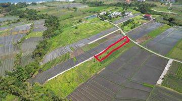 Gambar 4 PREMIUM BEACHSIDE PLOT FOR LEASE NEAR CANGGU