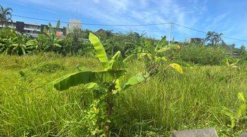 Gambar 3 RARE FREEHOLD PLOT FOR SALE IN THE HEART OF UMALAS BUMBAK