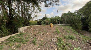 Gambar 3 STUNNING PLOT WITH GREENBELT VIEW IN CANGGU FOR LEASE