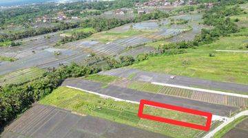 Gambar 1 PREMIUM BEACHSIDE PLOT FOR LEASE NEAR CANGGU