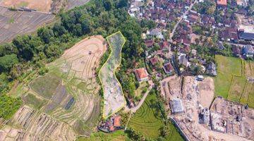 Gambar 1 STUNNING PLOT WITH GREENBELT VIEW IN CANGGU FOR LEASE