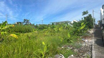 Gambar 4 RARE FREEHOLD PLOT FOR SALE IN THE HEART OF UMALAS BUMBAK