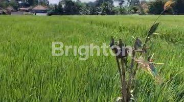 Gambar 3 TANAH ZONA PARIWISATA DEKAT PANTAI KELATING