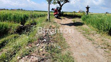 Gambar 4 TANAH ZONA PARIWISATA DEKAT PANTAI KELATING