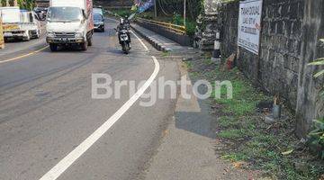 Gambar 5 TANAH PINGGIR JALAN STRATEGIS COCOK UNTUK GUDANG LOKASI TABANAN