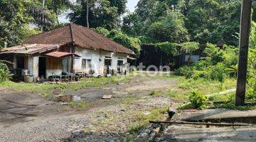 Gambar 4 TANAH PINGGIR JALAN STRATEGIS COCOK UNTUK GUDANG LOKASI TABANAN