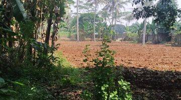 Gambar 1 Jual Cepat Kavling 9.450 m² nego smp deal di Kampung Dandang