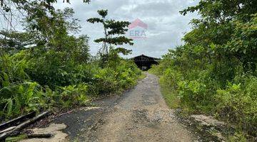 Gambar 2 Tanah Kawasan Industri Cocok Untuk Gudang di Adi Sucipto