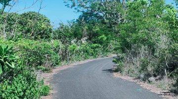 Gambar 5 Tanah Ocean View Cocok Untuk Villa Dekat Jalan Nusa 2