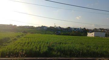 Gambar 1 Land For Sale  1600m2 1canggu Lingkungan Rumah Dan 