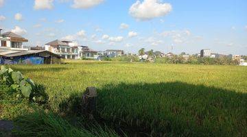 Gambar 2 Land For Rent Jalan Pantai Cemagi River View And Rice Field