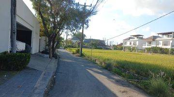 Gambar 1 Land For Rent Jalan Pantai Cemagi River View And Rice Field