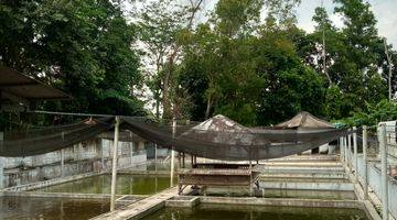 Gambar 4 Tanah Kolam ikan siap pakai