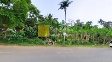 Gambar 4 dijual tanah kosong teluk betung