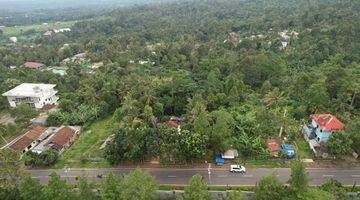 Gambar 5 Tanah Lokasi Kawasan Wisata Harga di Bawah Pasar 