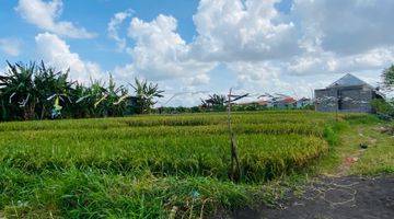 Gambar 1  Tanah Shm View Sawah Luas 3 Are Di Dalung Dekat Canggu 