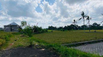 Gambar 2  Tanah Shm View Sawah Luas 3 Are Di Dalung Dekat Canggu 