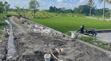 Gambar 4  Tanah Shm View Sawah Luas 3 Are Di Dalung Dekat Canggu 