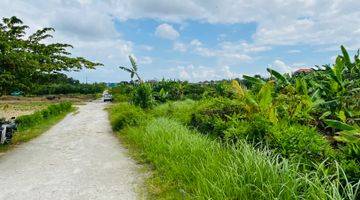 Gambar 1 Tanah Murah Shm View Sawah Di Tabanan Dekat Canggu 