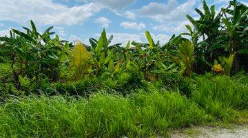 Gambar 3 Tanah Murah Shm View Sawah Di Tabanan Dekat Canggu 