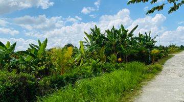 Gambar 4 Tanah Murah Shm View Sawah Di Tabanan Dekat Canggu 