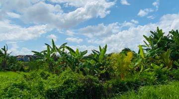 Gambar 5 Tanah Murah Shm View Sawah Di Tabanan Dekat Canggu 