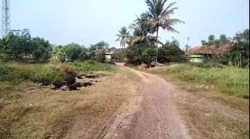 Gambar 2 Tanah Industri/Komercial Dijual Area Mauk  Kronjo Kabupaten Tangerang Propinsi Banten