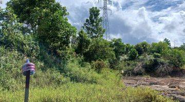 Gambar 4 Tanah Luas 45090 M2 Kondisi Rata Di Pulau Balang