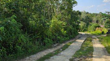 Gambar 4 Tanah Luas 17130 M2 Di TransAs jalur 2 Di kM 8 Dalam