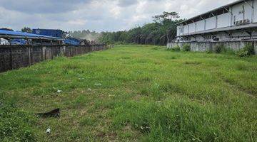 Gambar 1 Tanah luas 9382 m2 Dengan Kondisi Rata Padat Di Kariangau Projakal KM 5