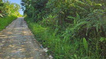 Gambar 5 Tanah Luas 17130 M2 Di TransAs jalur 2 Di kM 8 Dalam