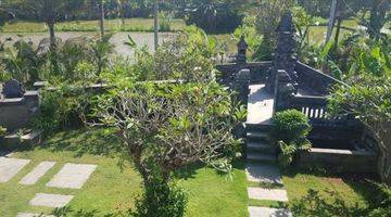 Gambar 3 FOR SALE VILLA WITH RICE FIELDS VIEW IN PERING, GIANYAR, BALI