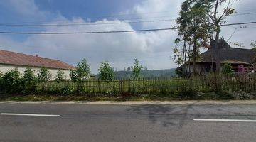 Gambar 2 DIJUAL TANAH KEBUN cocok buat Komersial di Gubuk Klakah arah Gn. Bromo, Malang 