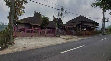 Gambar 4 DIJUAL TANAH KEBUN cocok buat Komersial di Gubuk Klakah arah Gn. Bromo, Malang 