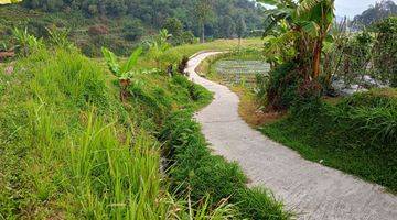 Gambar 2 DI JUAL TANAH SAWAH MURAH 