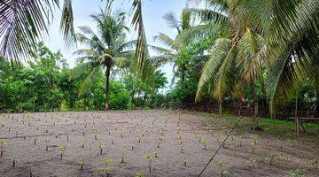 Gambar 1 Di jual tanah. View lepas pantai. 