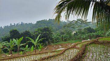 Gambar 5 DI JUAL TANAH CEPAT. LOKASI NEMPEL JALAN