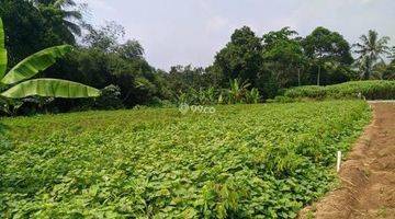 Gambar 3 DI TANAH LOKASI SANGAT STRATEGIS NEMPEL JALAN. 